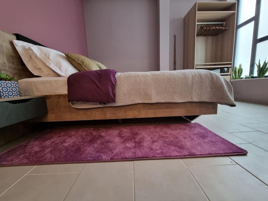 Ellis Apartment 雅典 外观 照片