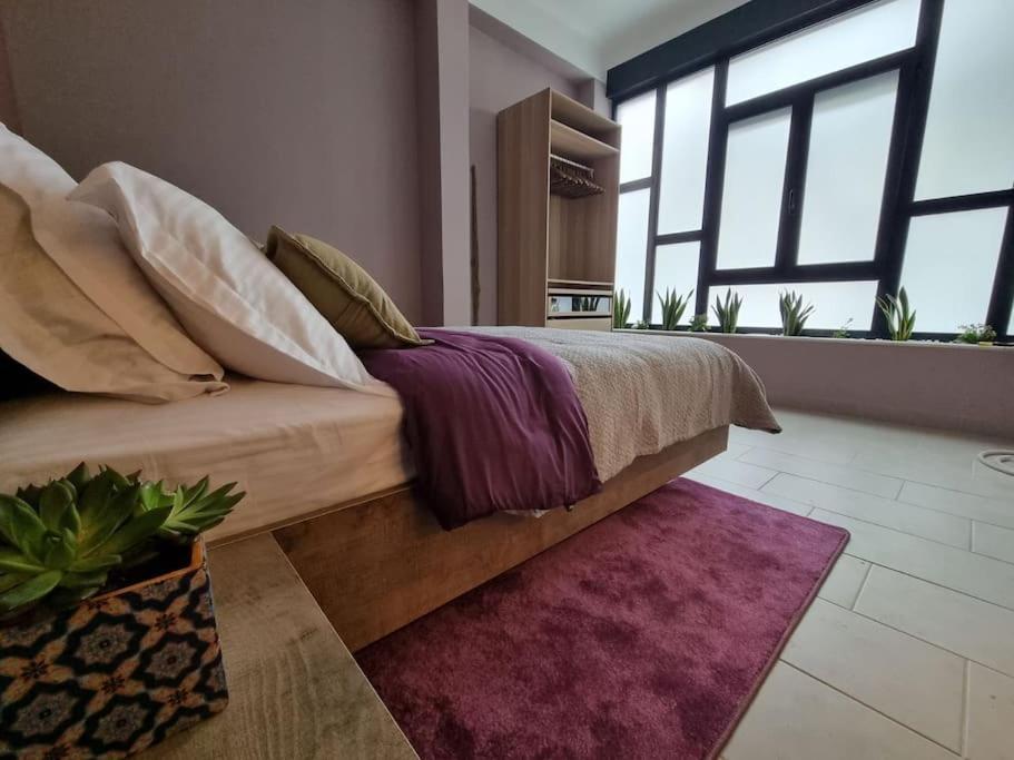 Ellis Apartment 雅典 外观 照片
